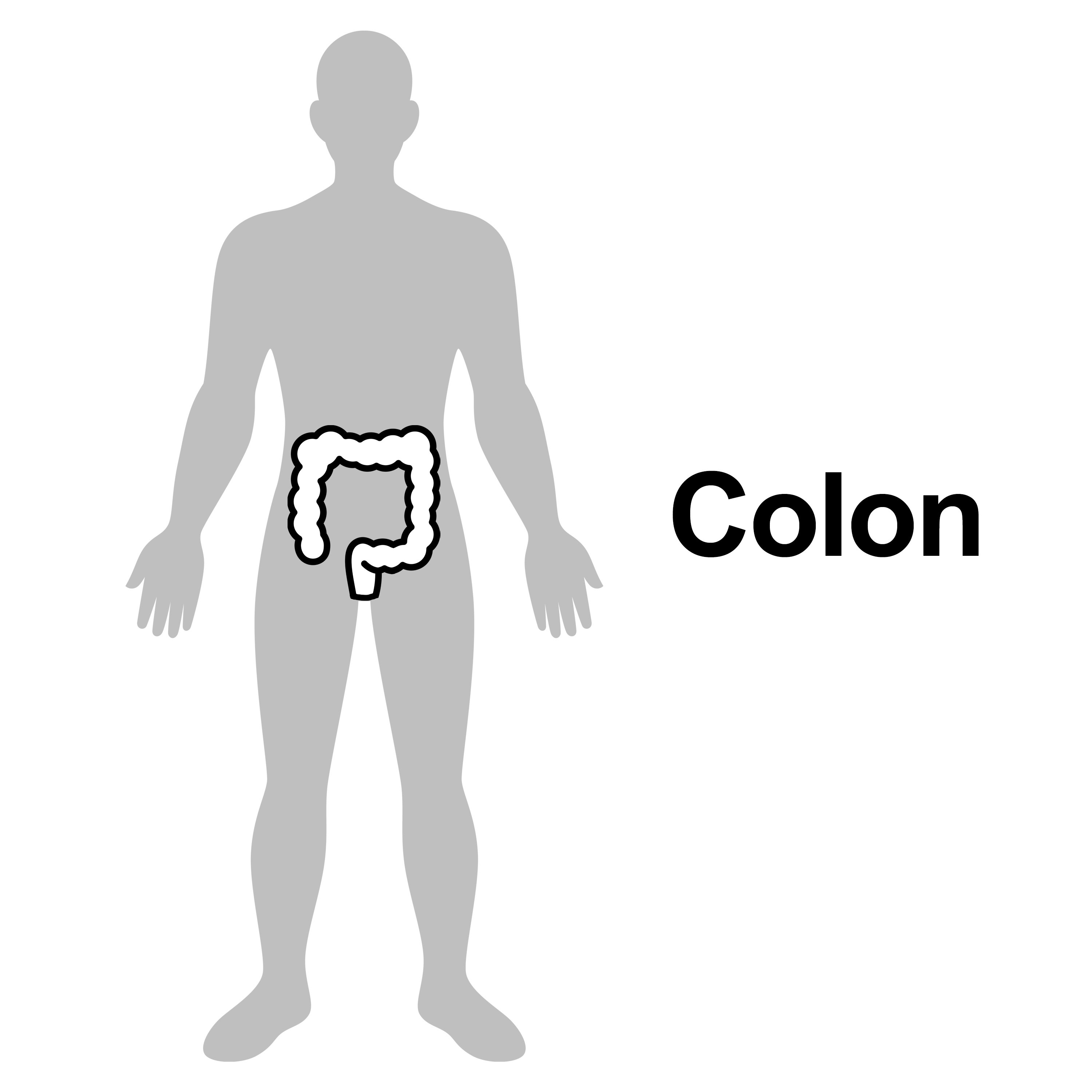 Colon