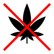 Do not use any drugs. icon