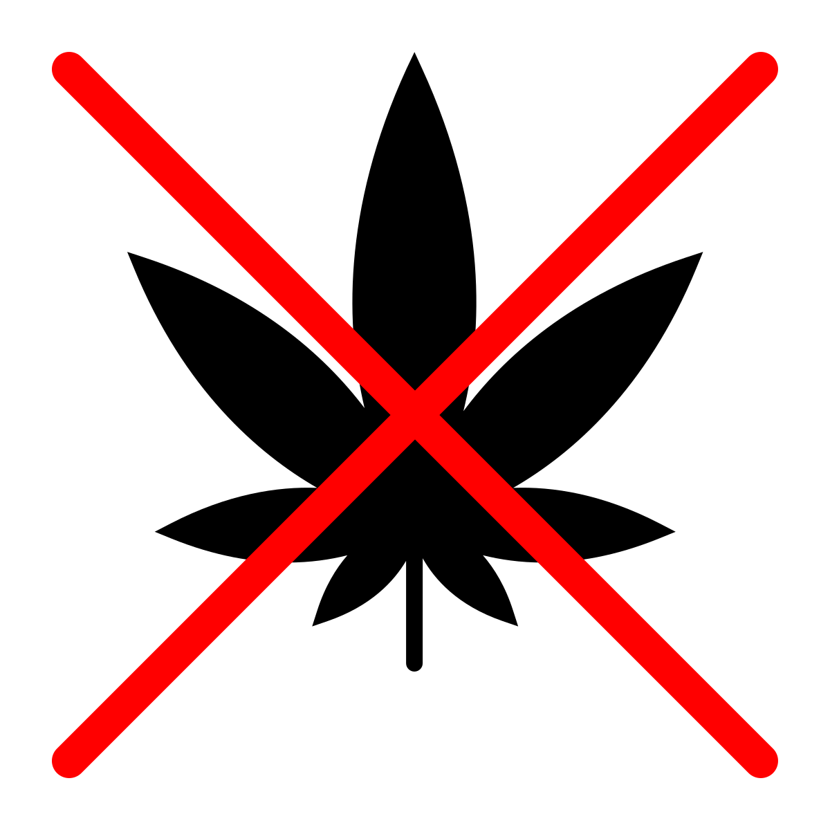 Do not use any drugs. icon